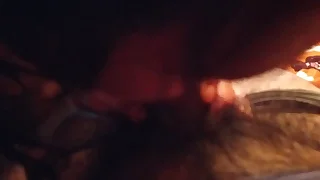 Muy buena mamada de madura casera